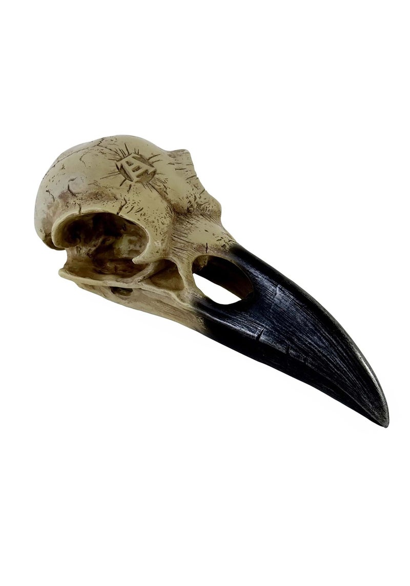 Alchemy Corvus Alchemica Raven Skull - Image 1